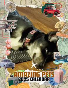 Amazing Pets: 2025 Wall Calendar (Pre-Order)