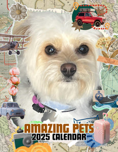 Amazing Pets: 2025 Wall Calendar (Pre-Order)