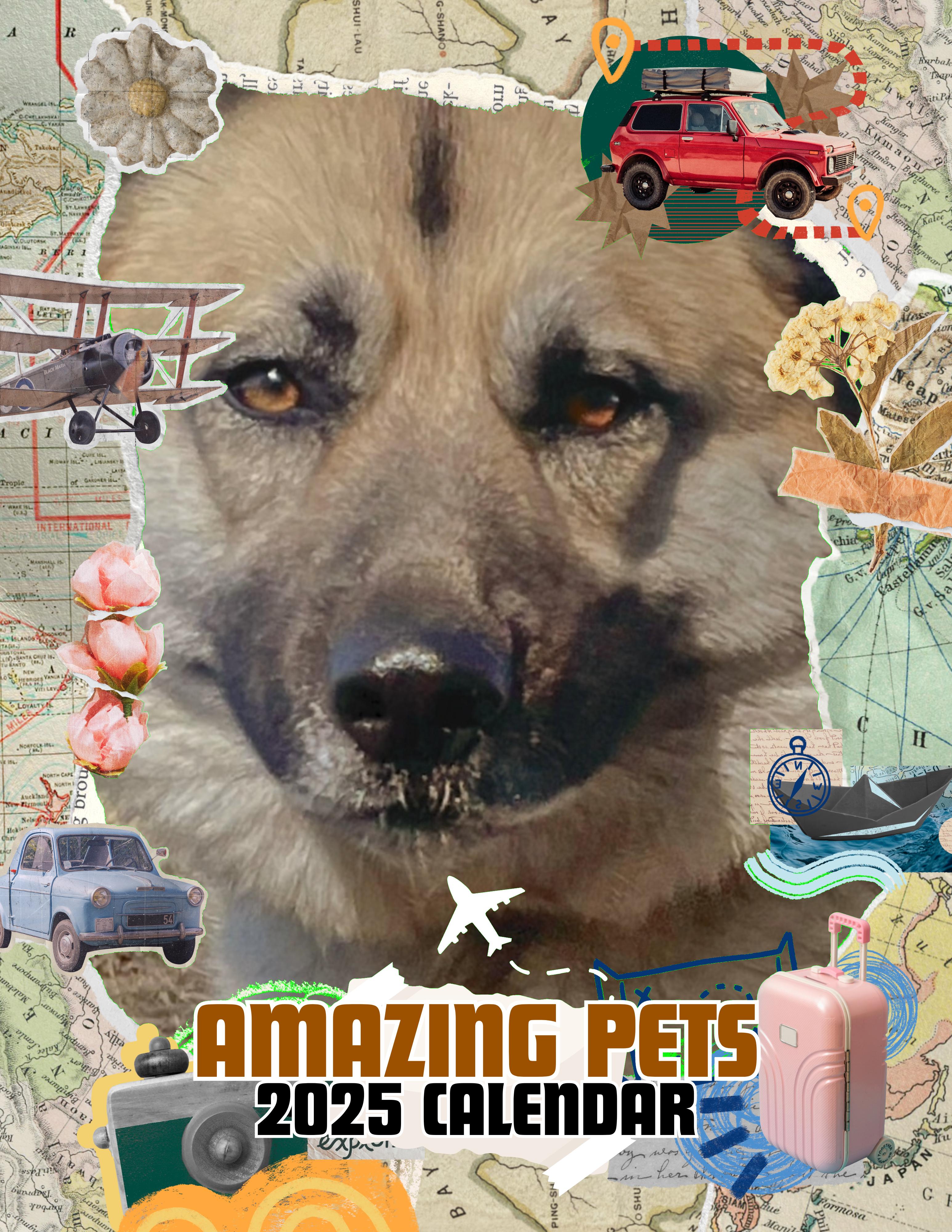 Amazing Pets: 2025 Wall Calendar (Pre-Order)