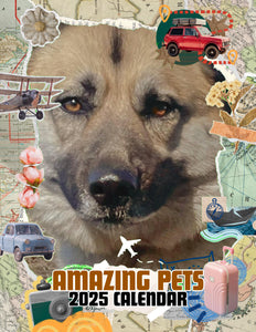 Amazing Pets: 2025 Wall Calendar (Pre-Order)