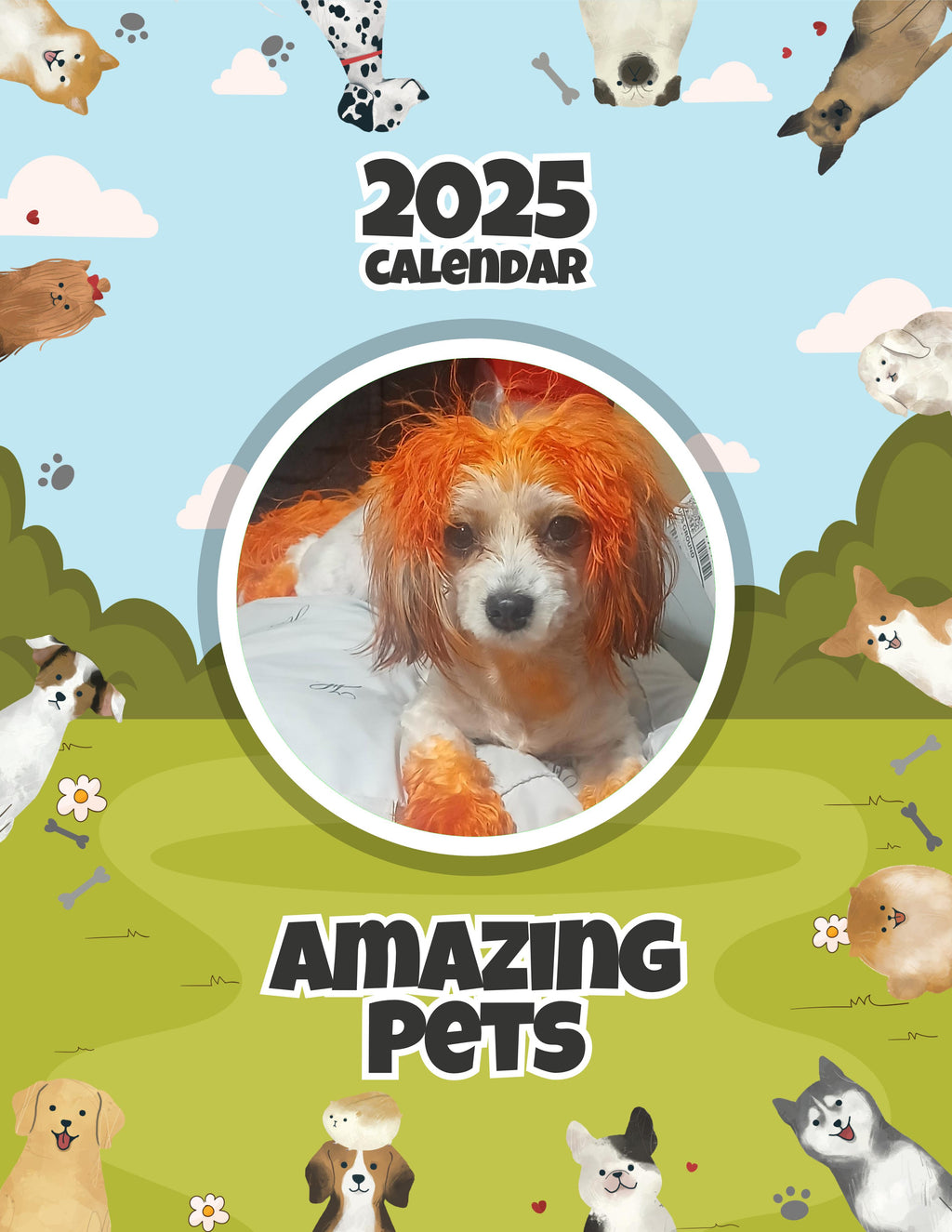 Amazing Pets: 2025 Wall Calendar (Pre-Order)