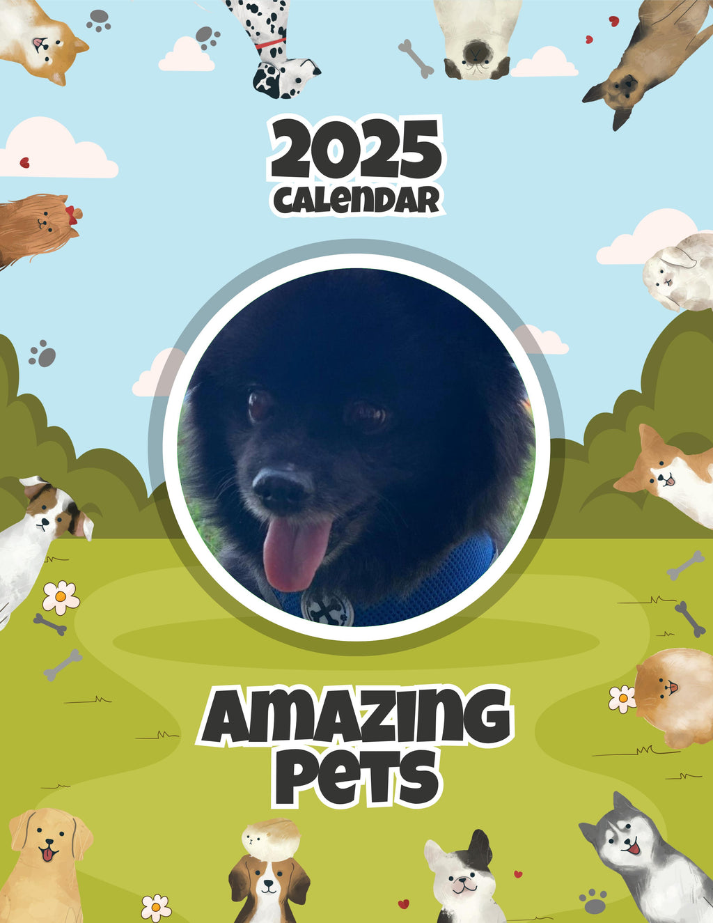 Amazing Pets: 2025 Wall Calendar (Pre-Order)