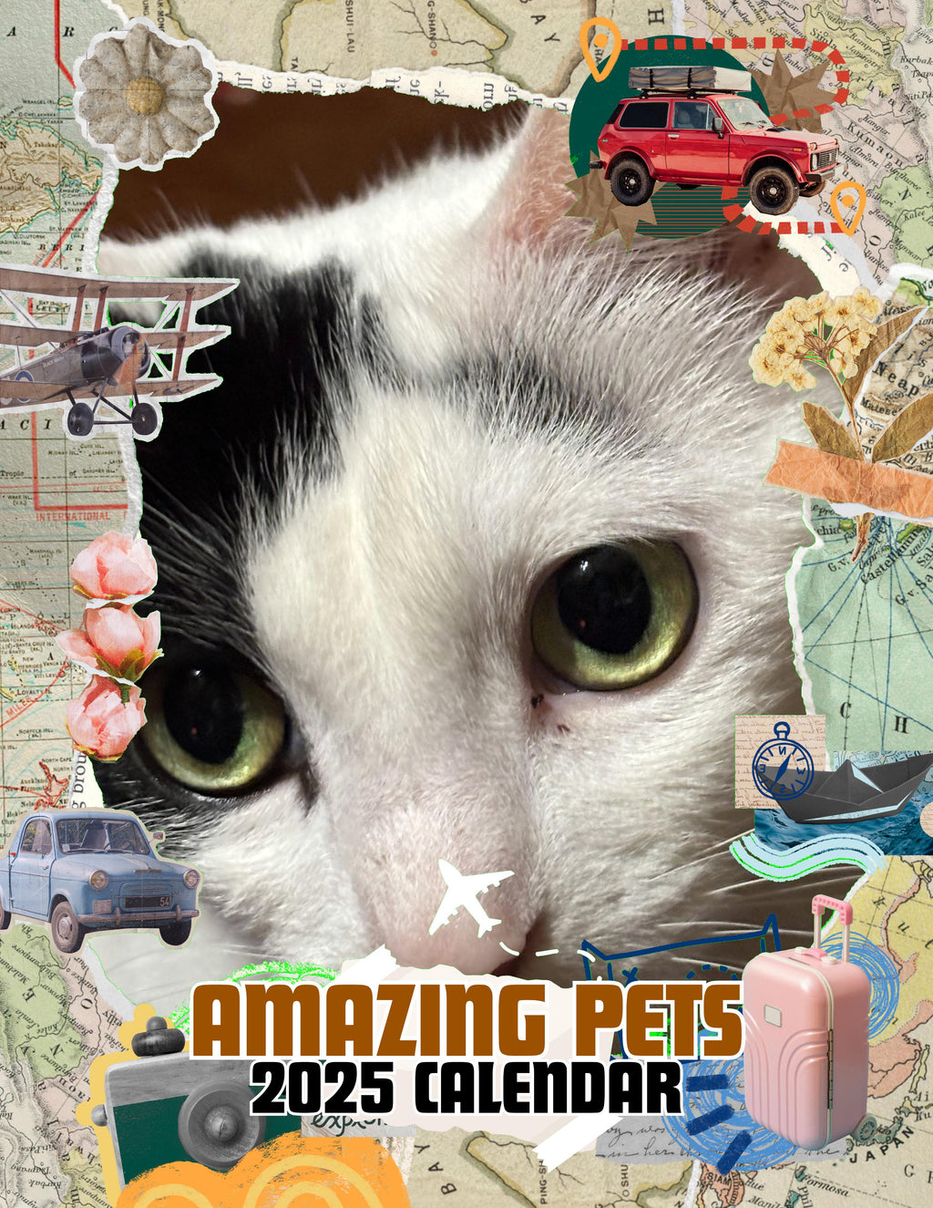 Amazing Pets: 2025 Wall Calendar (Pre-Order)