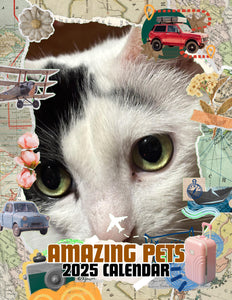Amazing Pets: 2025 Wall Calendar (Pre-Order)
