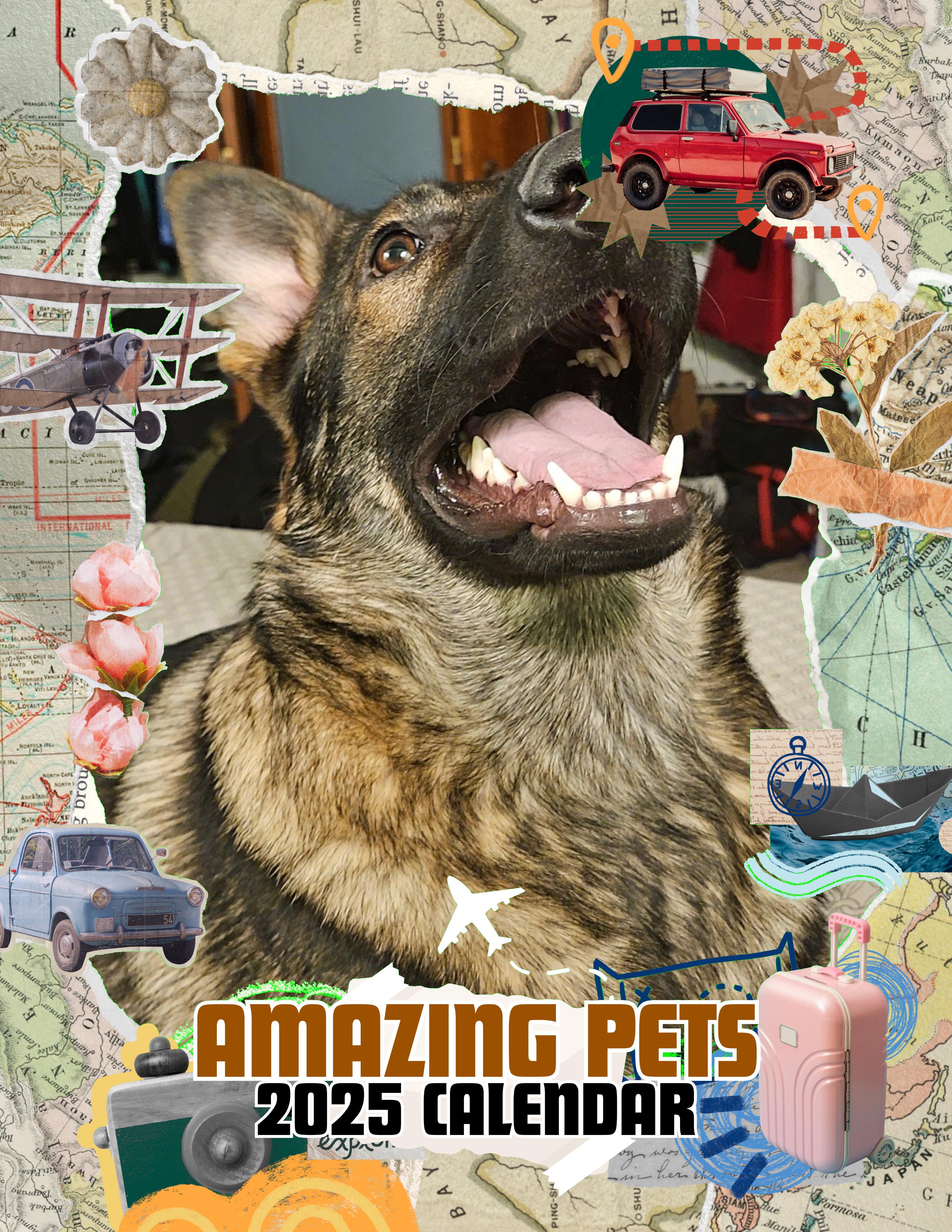 Amazing Pets: 2025 Wall Calendar (Pre-Order)