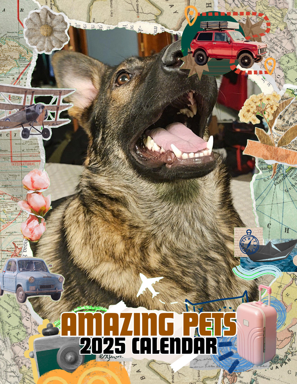 Amazing Pets: 2025 Wall Calendar (Pre-Order)