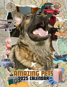 Amazing Pets: 2025 Wall Calendar (Pre-Order)
