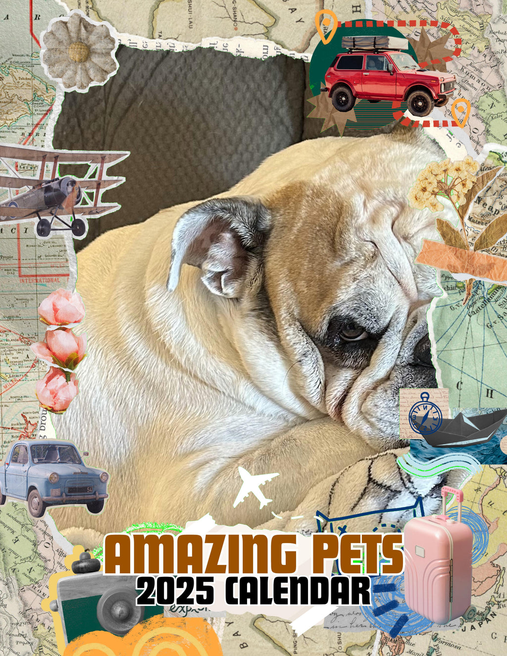 Amazing Pets: 2025 Wall Calendar (Pre-Order)