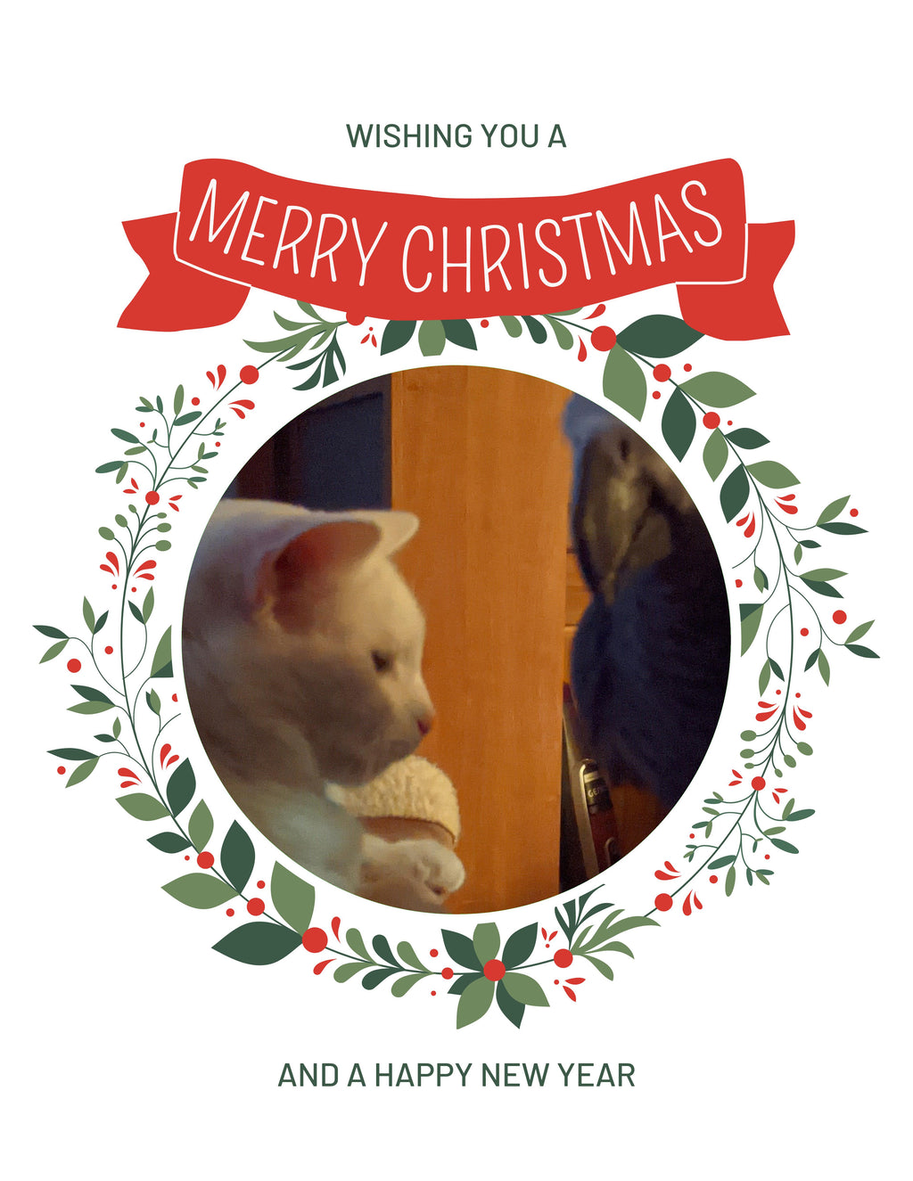Baby girl w/ Lucky her parrot brother Christmas Greeting Cards