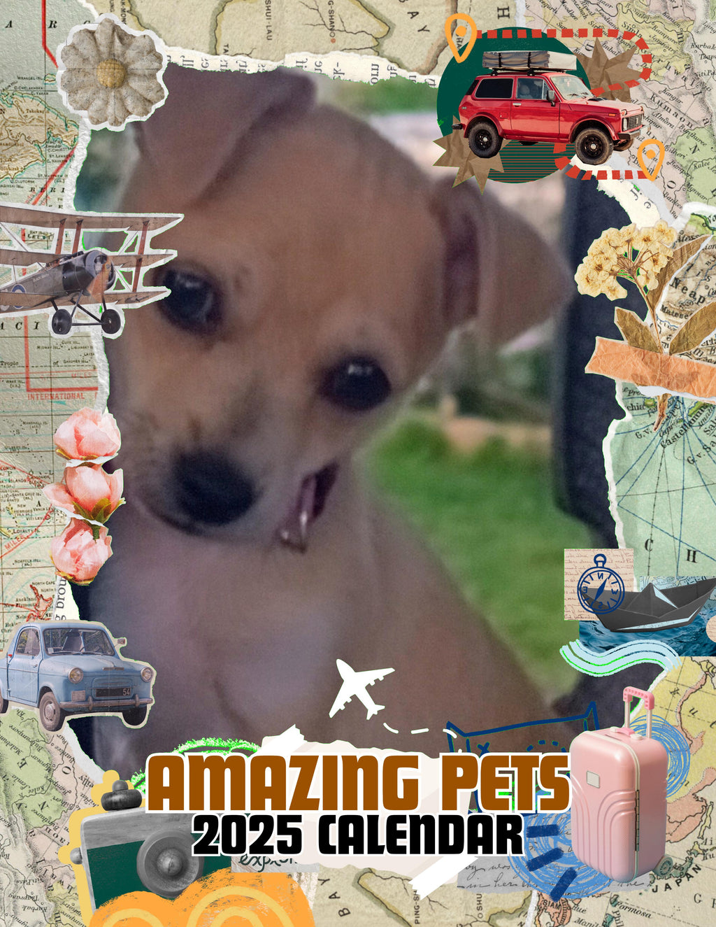 Amazing Pets: 2025 Wall Calendar (Pre-Order)