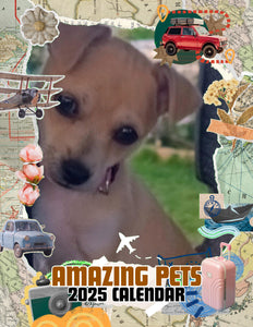 Amazing Pets: 2025 Wall Calendar (Pre-Order)
