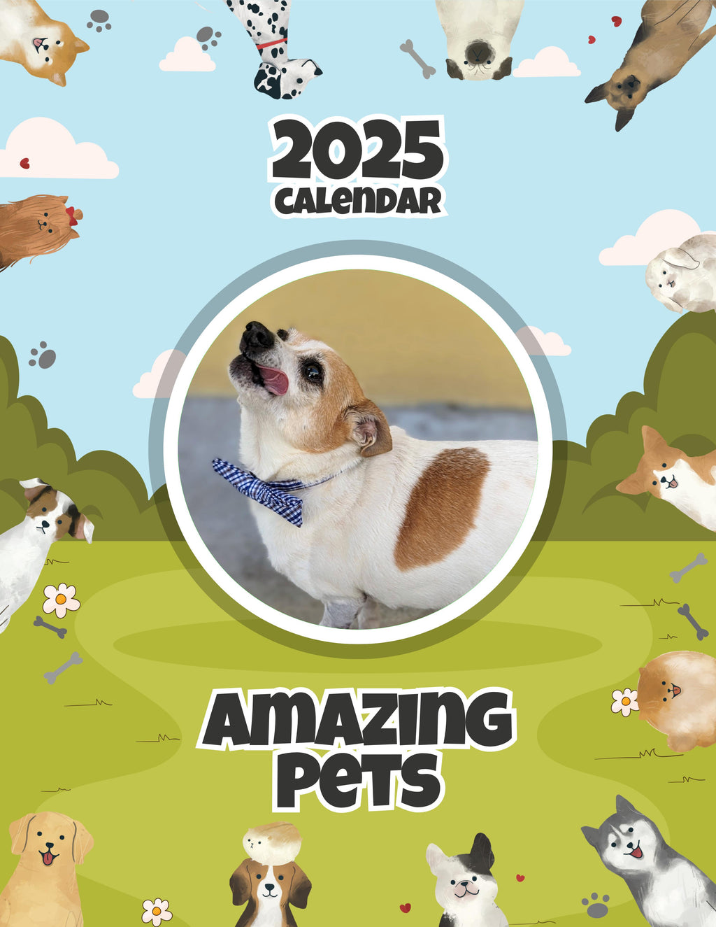 Amazing Pets: 2025 Wall Calendar (Pre-Order)