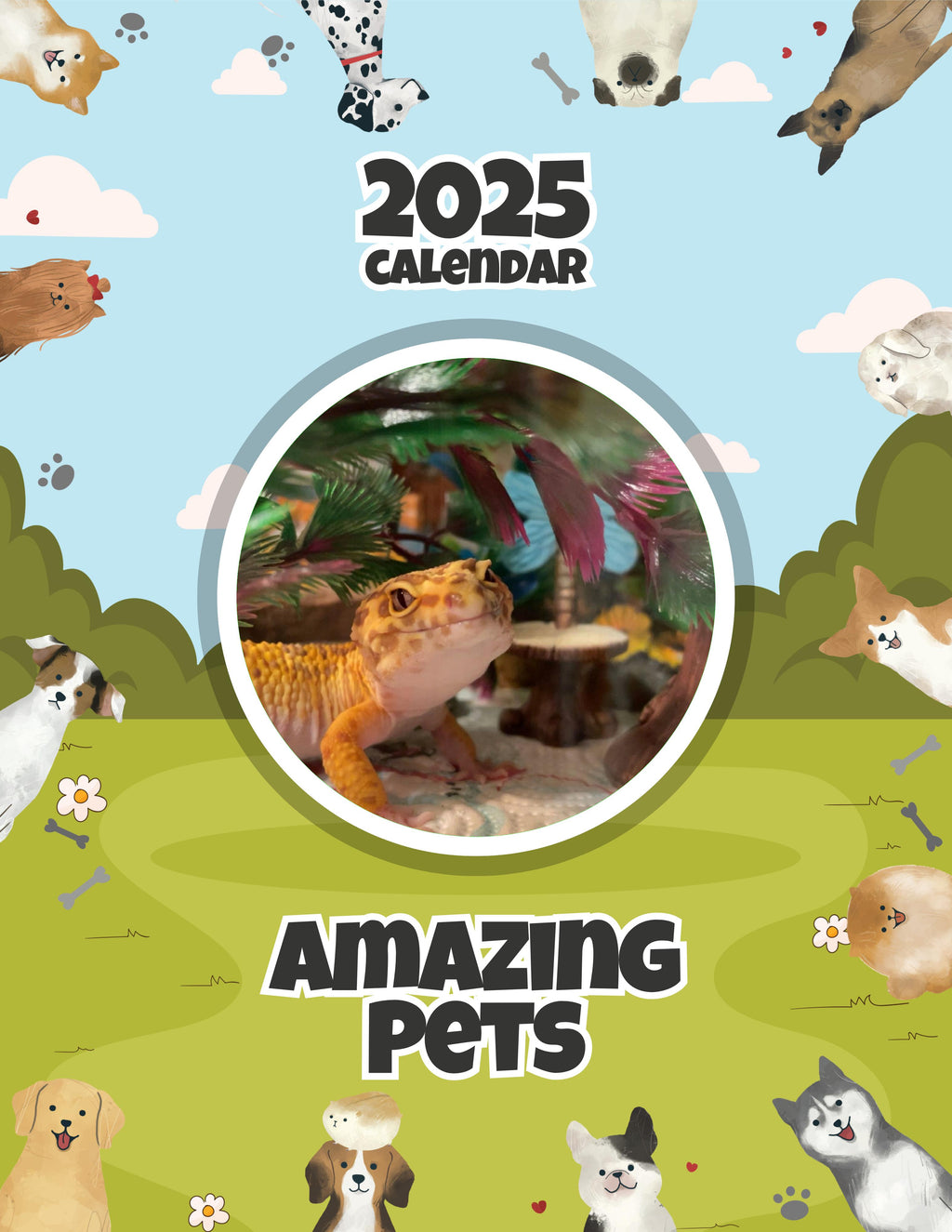 Amazing Pets: 2025 Wall Calendar (Pre-Order)