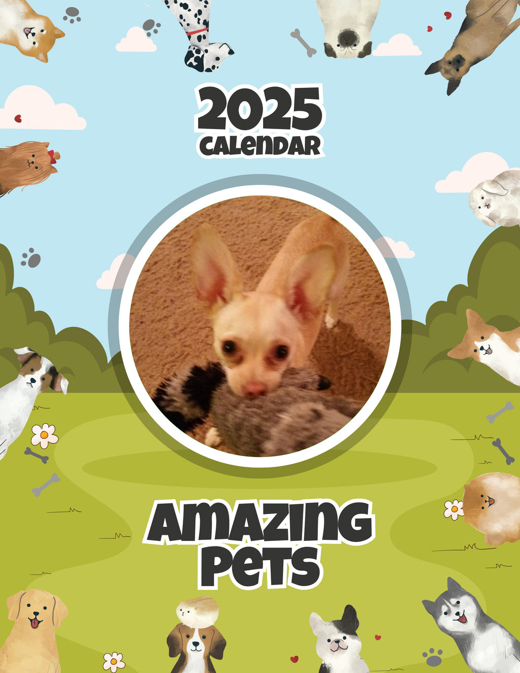 Amazing Pets: 2025 Wall Calendar (Pre-Order)