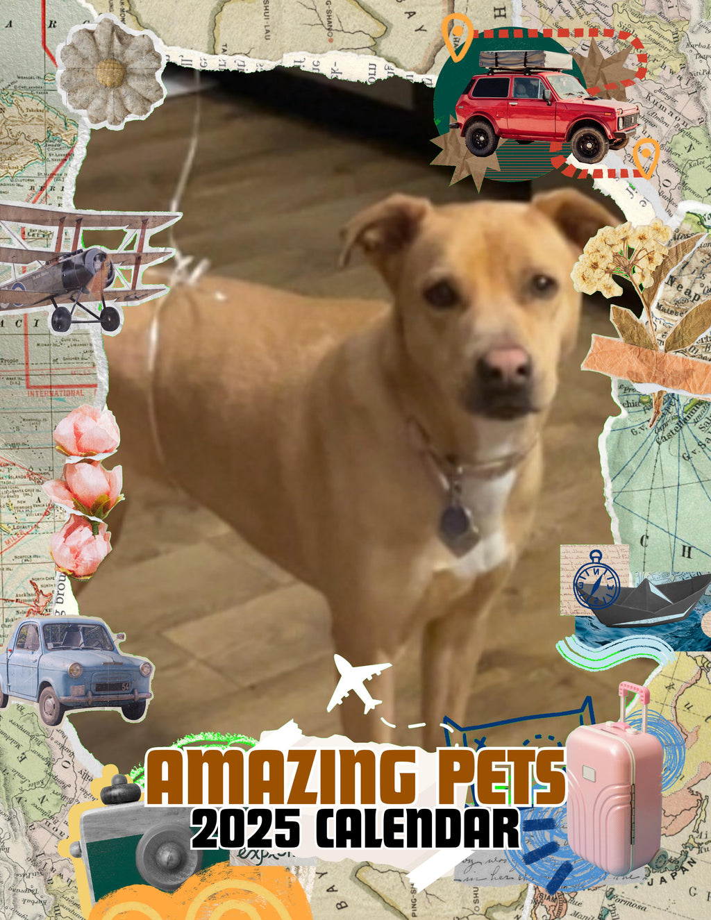 Amazing Pets: 2025 Wall Calendar (Pre-Order)