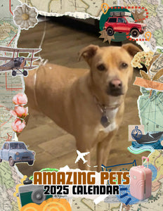 Amazing Pets: 2025 Wall Calendar (Pre-Order)