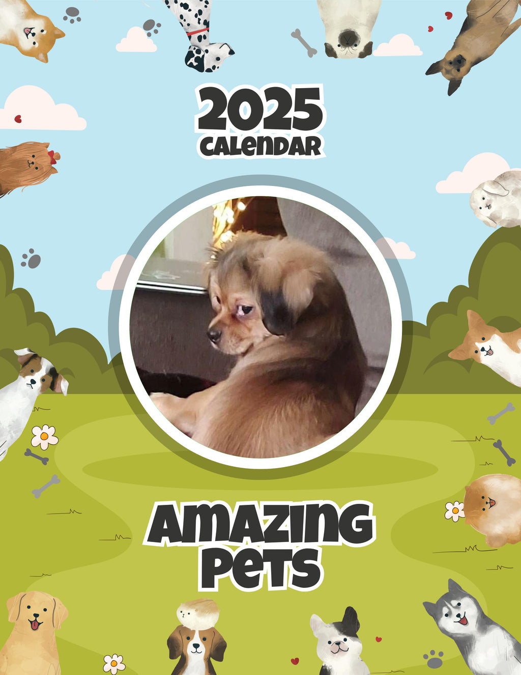 Amazing Pets: 2025 Wall Calendar (Pre-Order)