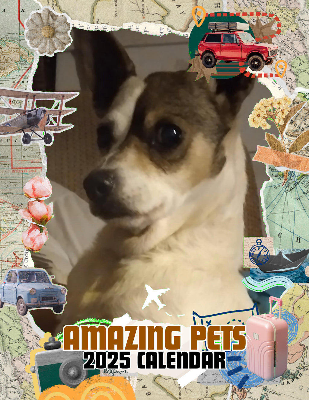 Amazing Pets: 2025 Wall Calendar (Pre-Order)