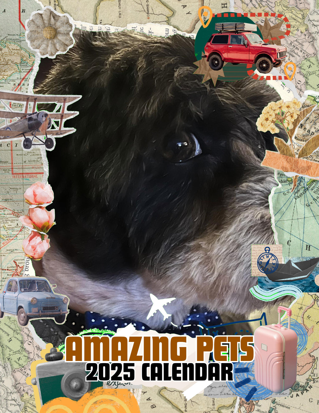 Amazing Pets: 2025 Wall Calendar (Pre-Order)