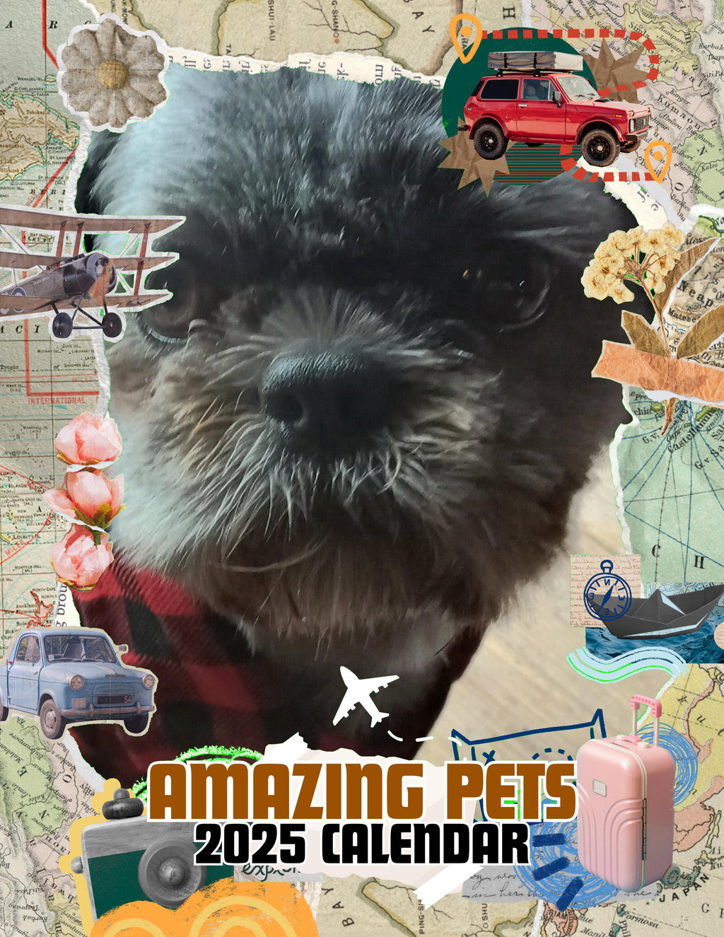 Amazing Pets: 2025 Wall Calendar (Pre-Order)