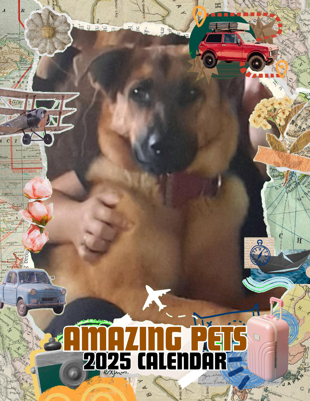 Amazing Pets: 2025 Wall Calendar (Pre-Order)