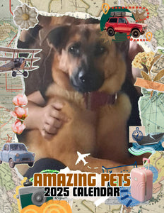 Amazing Pets: 2025 Wall Calendar (Pre-Order)