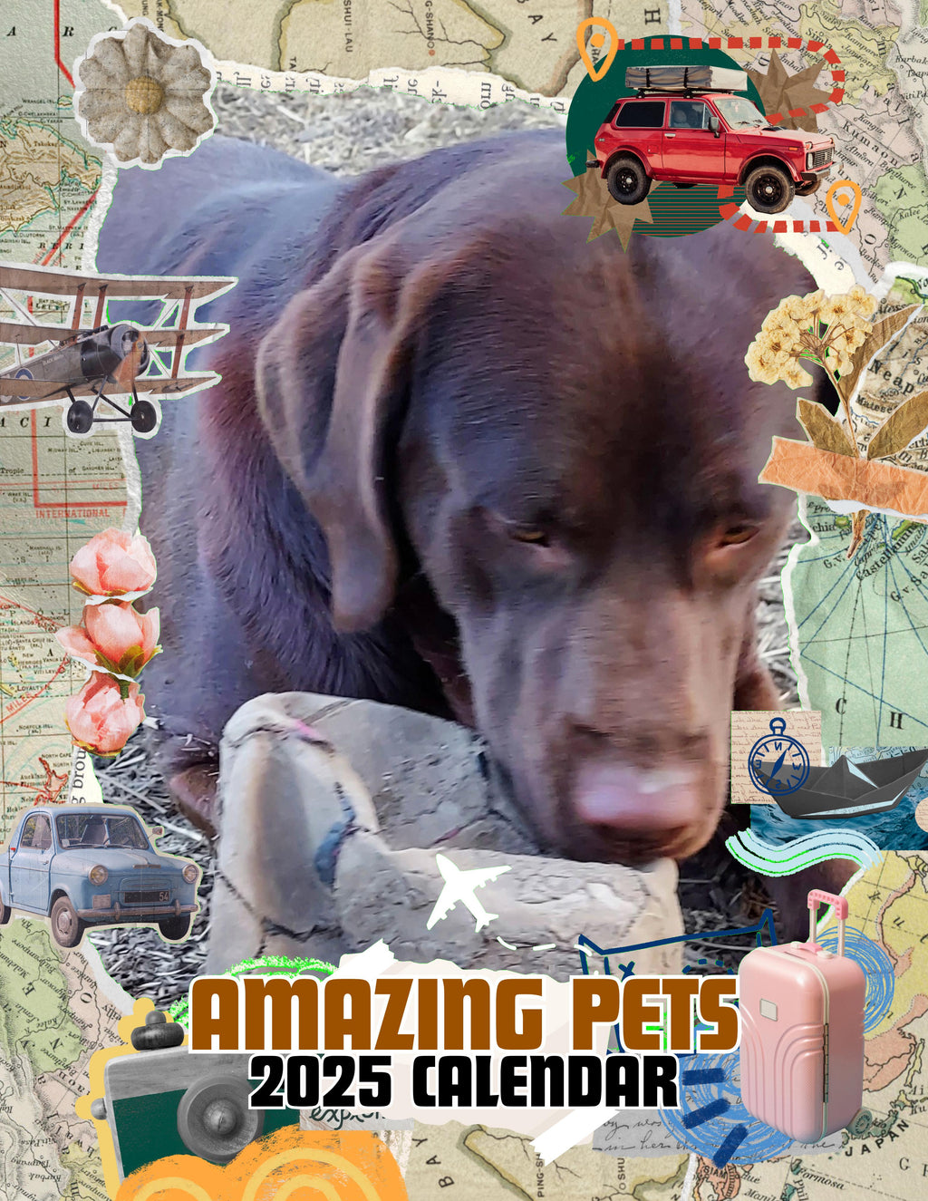 Amazing Pets: 2025 Wall Calendar (Pre-Order)