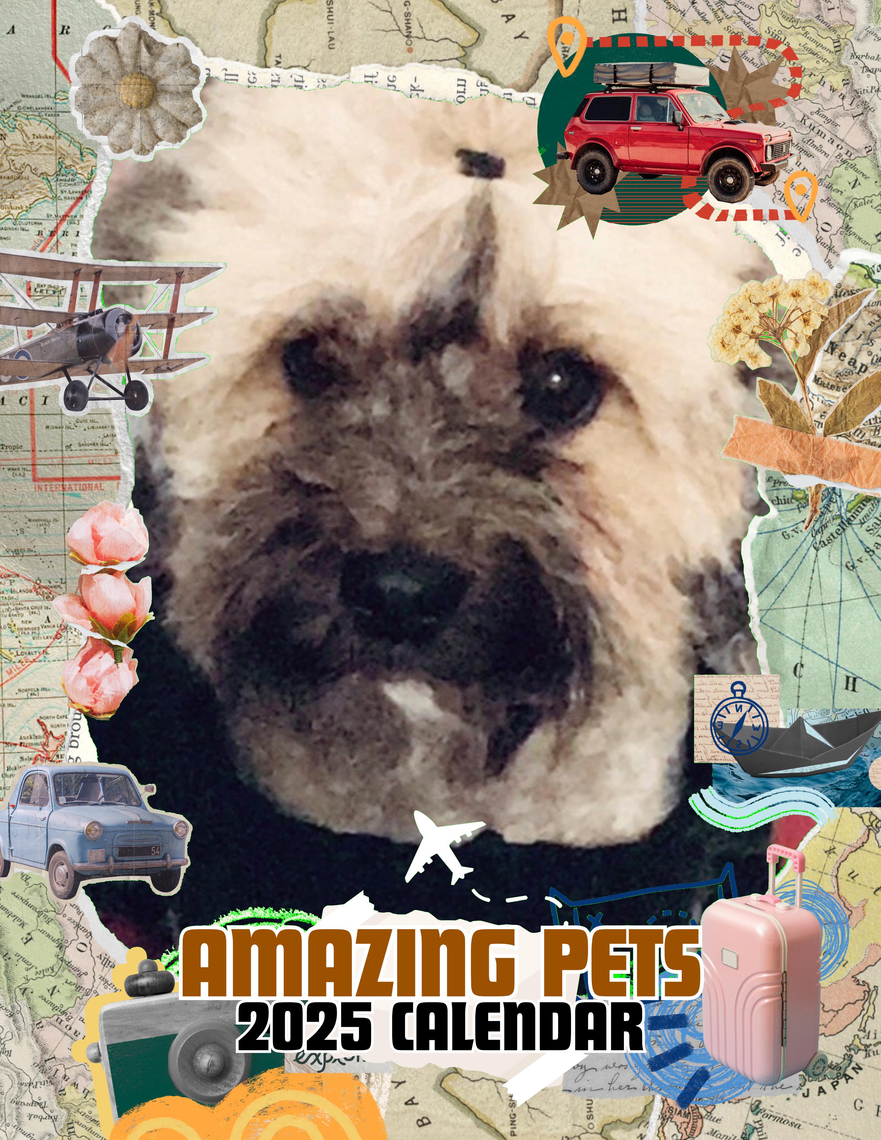 Amazing Pets: 2025 Wall Calendar (Pre-Order)