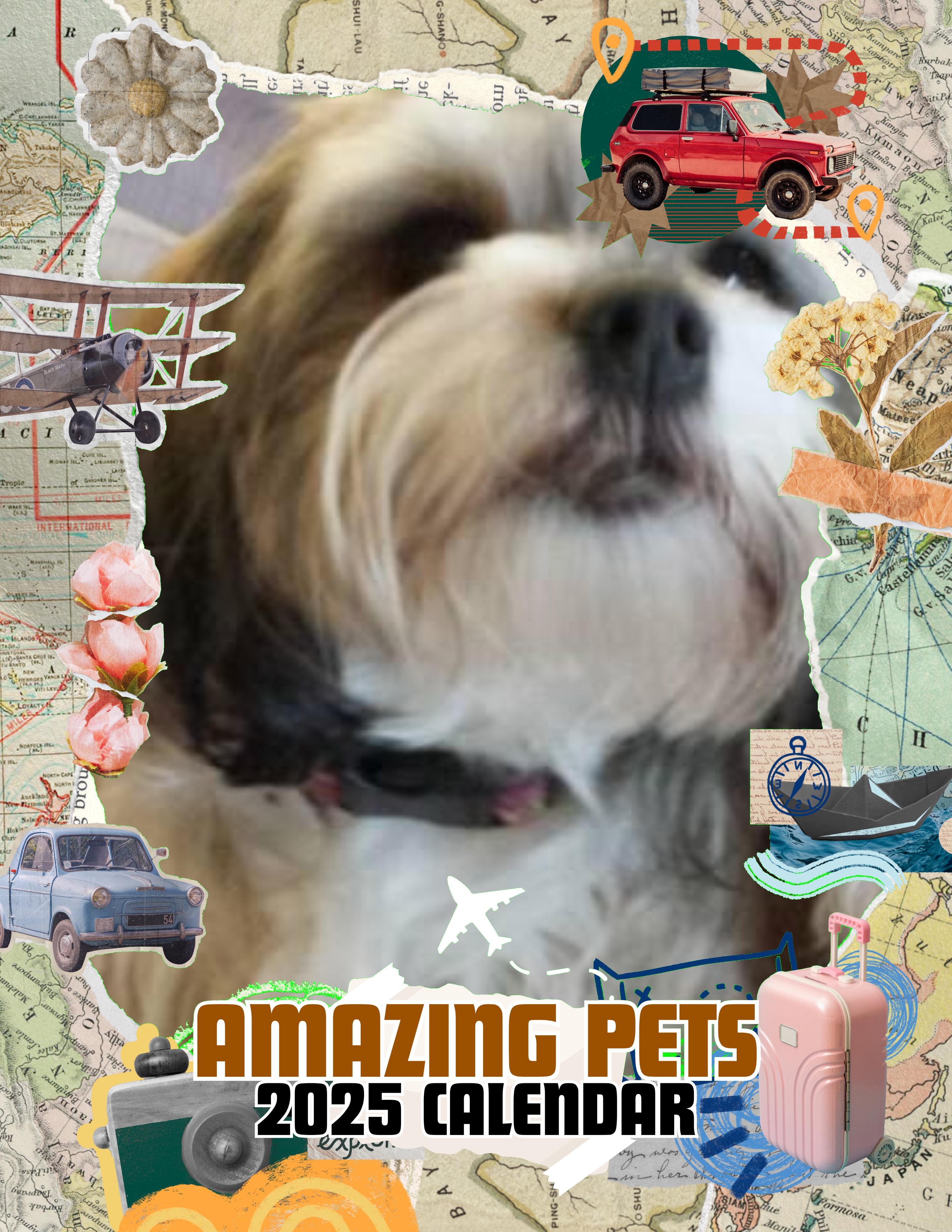 Amazing Pets: 2025 Wall Calendar (Pre-Order)