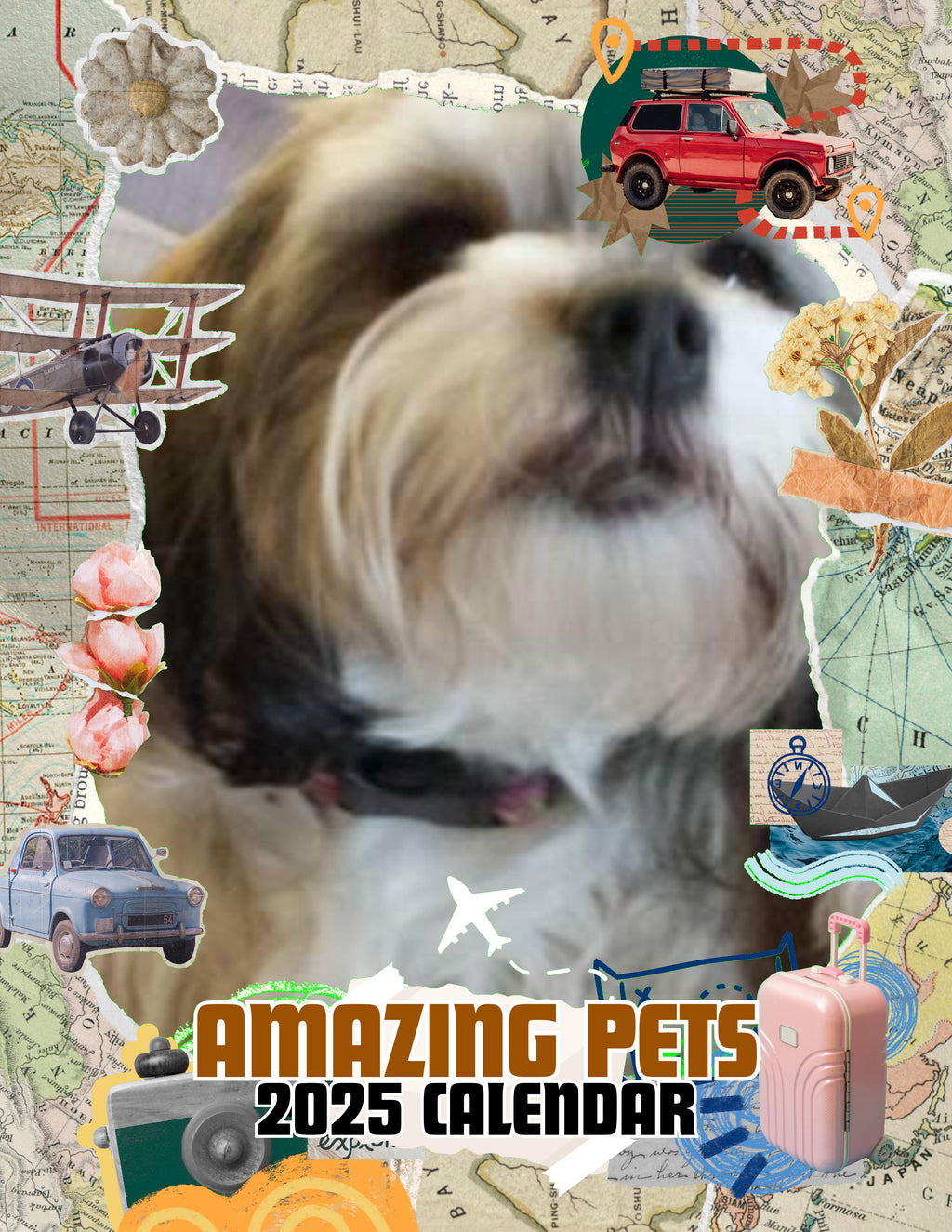 Amazing Pets: 2025 Wall Calendar (Pre-Order)