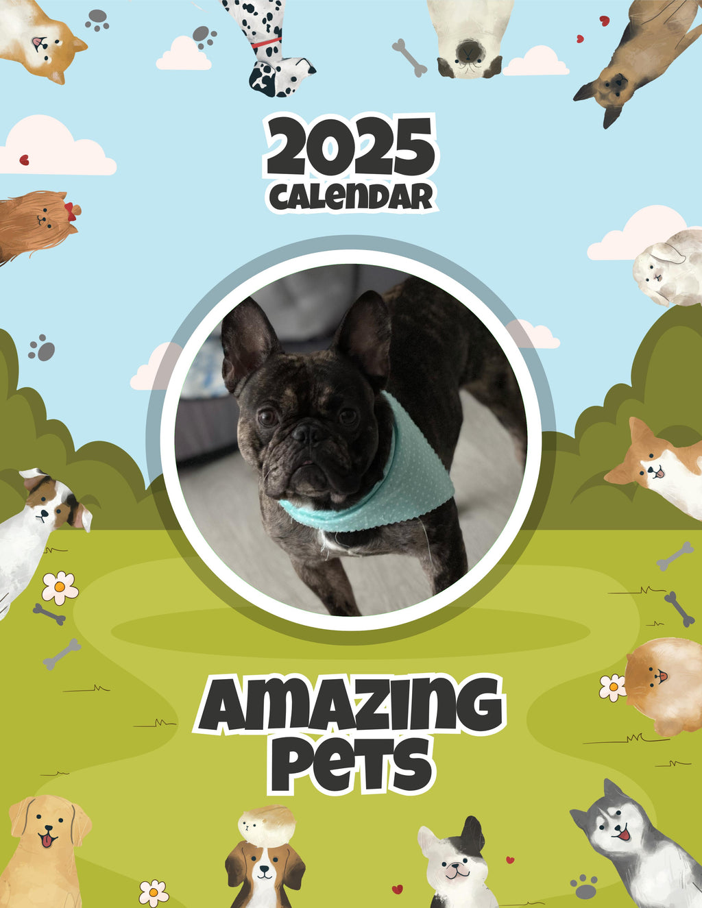 Amazing Pets: 2025 Wall Calendar (Pre-Order)