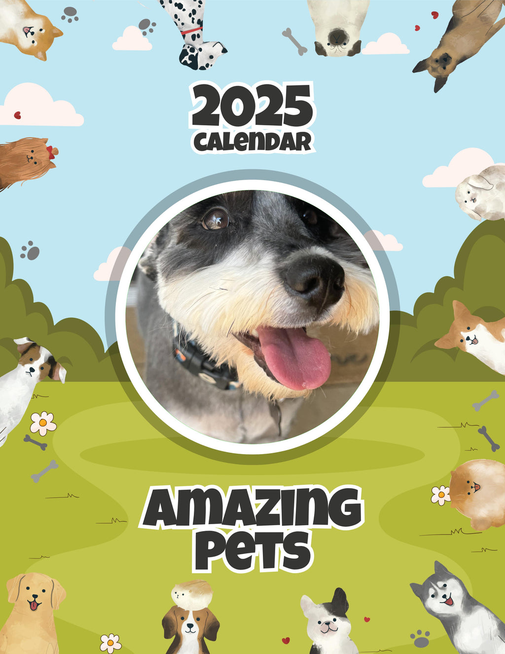 Amazing Pets: 2025 Wall Calendar (Pre-Order)