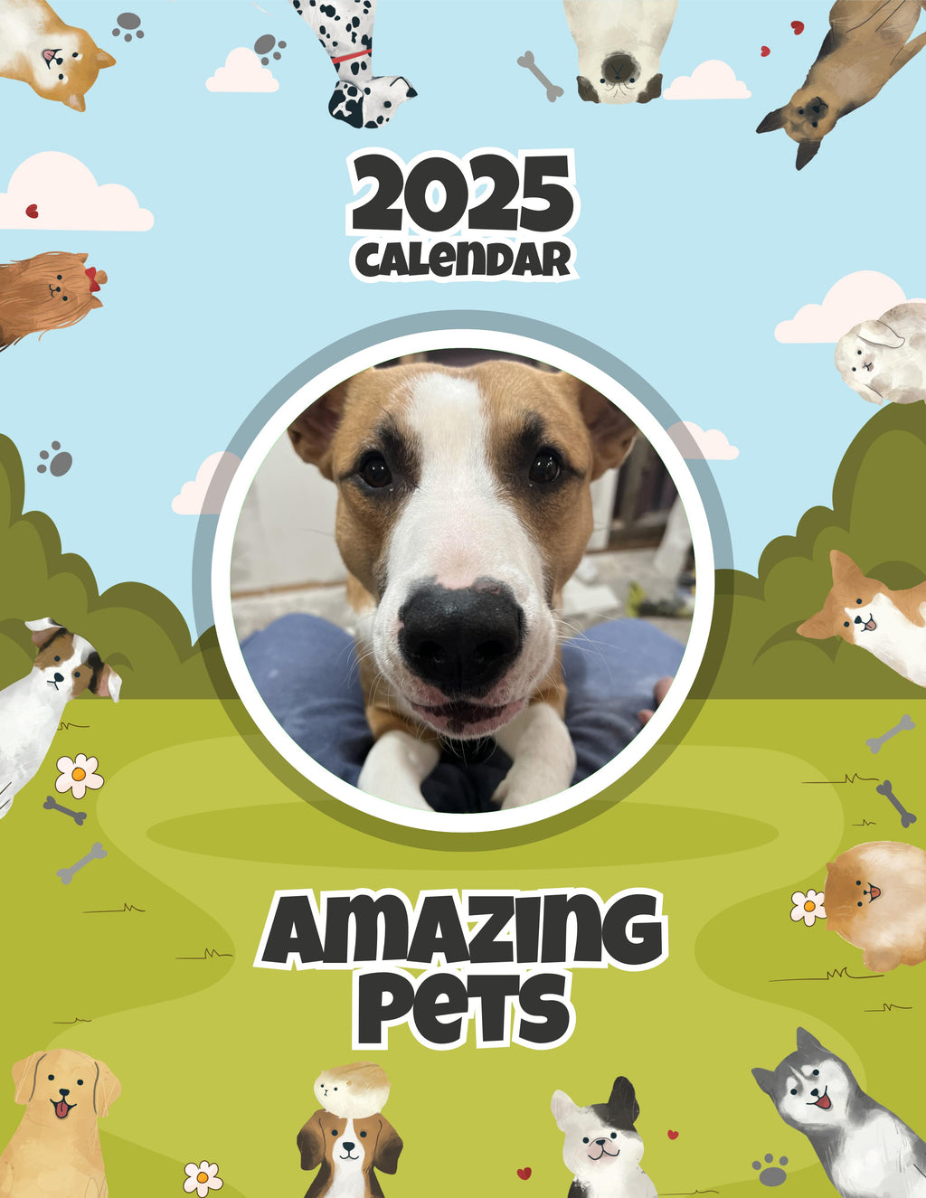 Amazing Pets: 2025 Wall Calendar (Pre-Order)