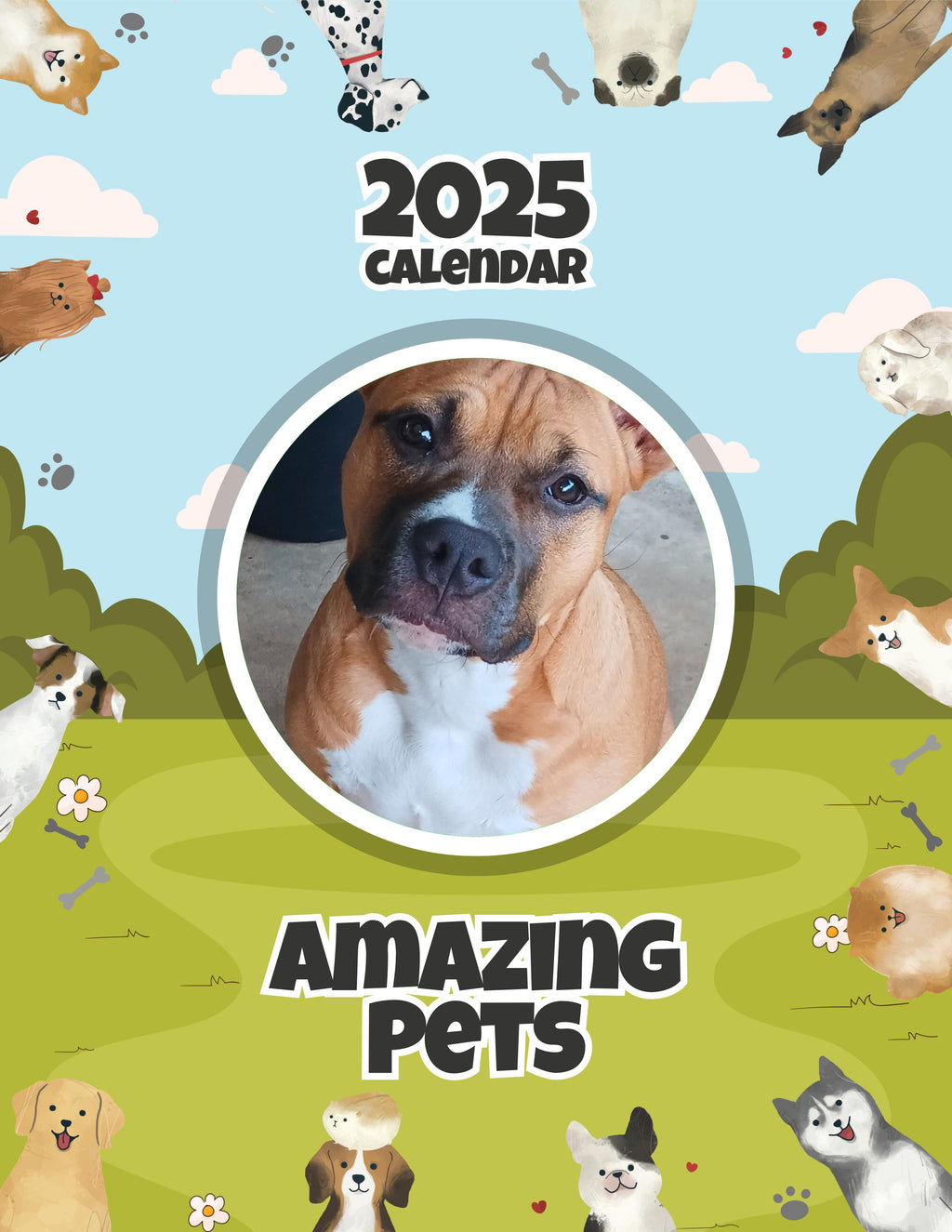 Amazing Pets: 2025 Wall Calendar (Pre-Order)