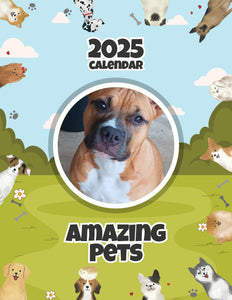 Amazing Pets: 2025 Wall Calendar (Pre-Order)