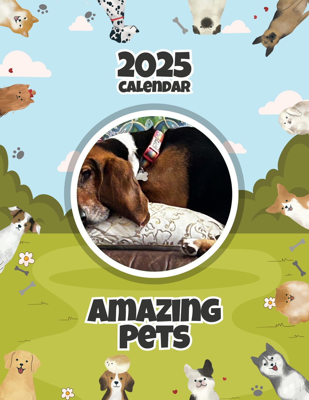 Amazing Pets: 2025 Wall Calendar (Pre-Order)
