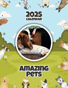 Amazing Pets: 2025 Wall Calendar (Pre-Order)