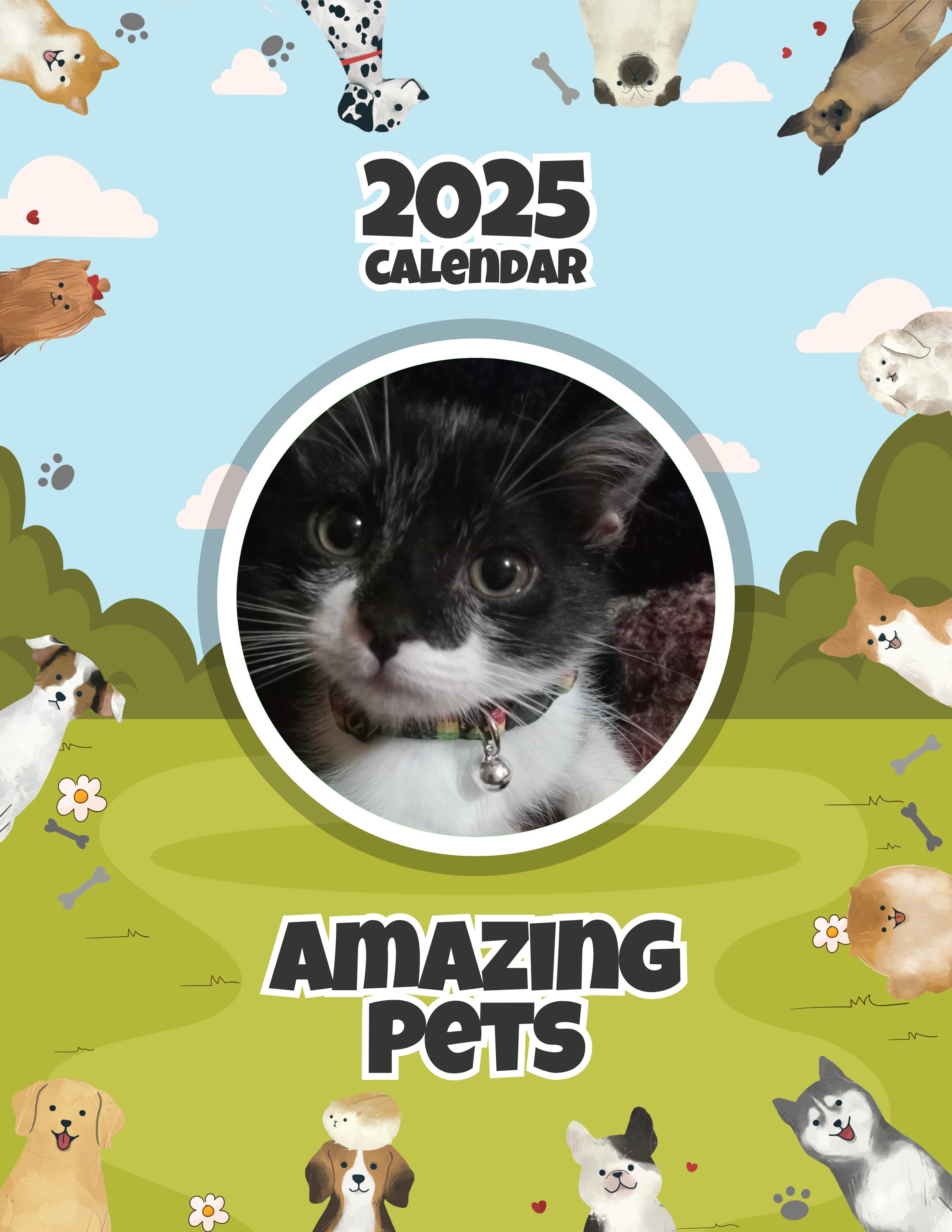 Amazing Pets: 2025 Wall Calendar (Pre-Order)