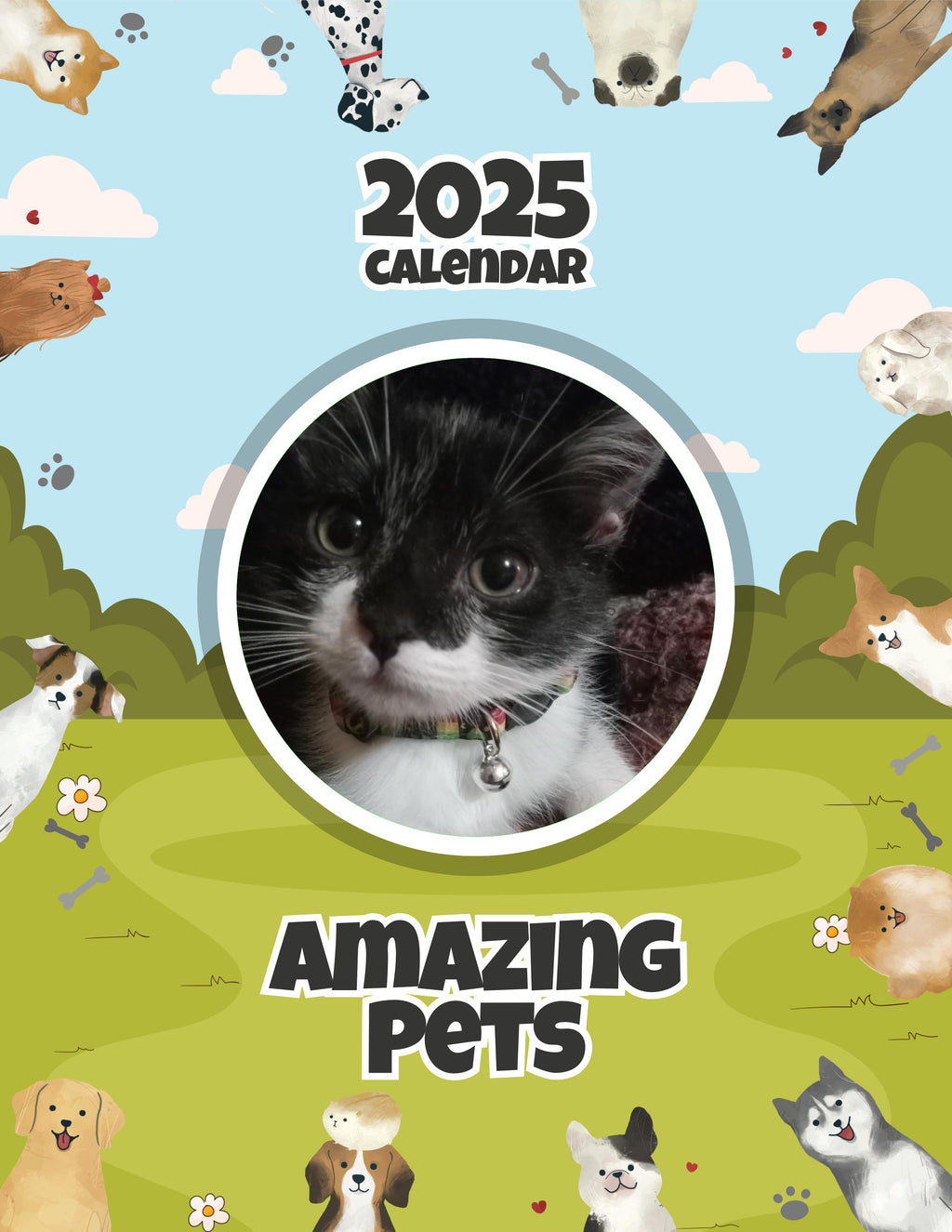 Amazing Pets: 2025 Wall Calendar (Pre-Order)
