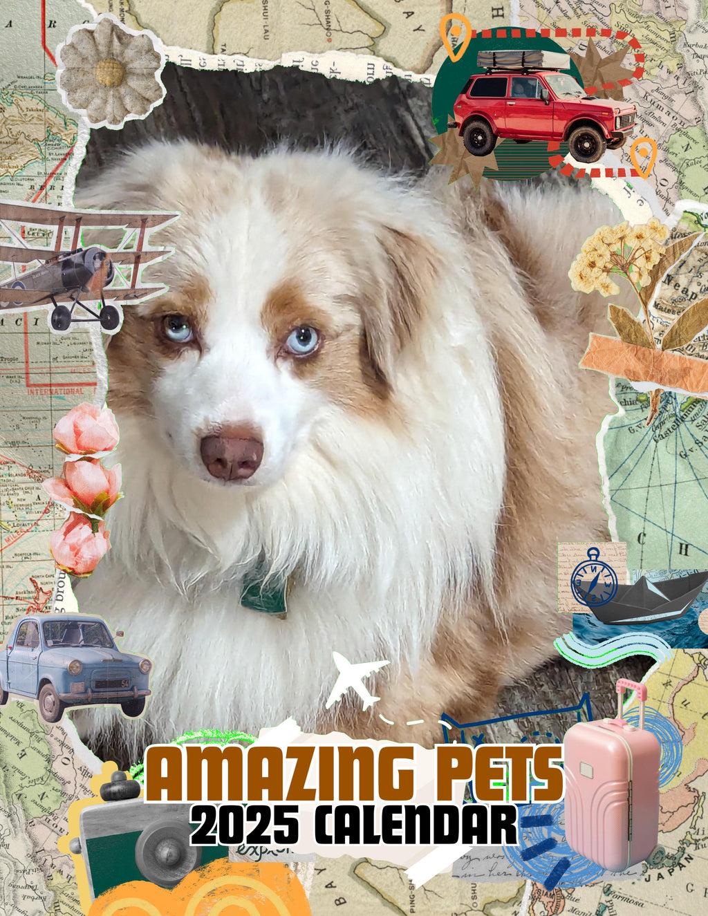 Amazing Pets: 2025 Wall Calendar (Pre-Order)