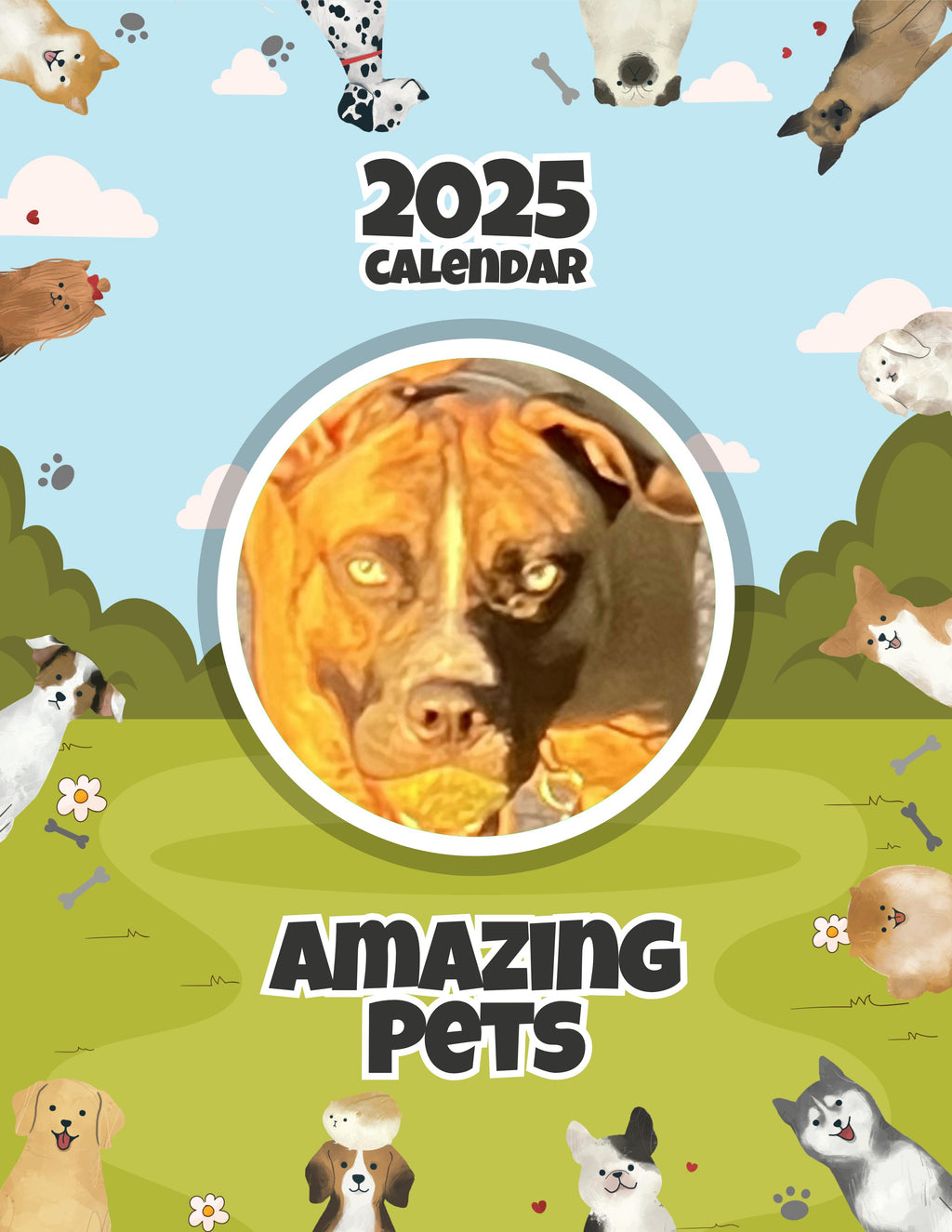 Amazing Pets: 2025 Wall Calendar (Pre-Order)