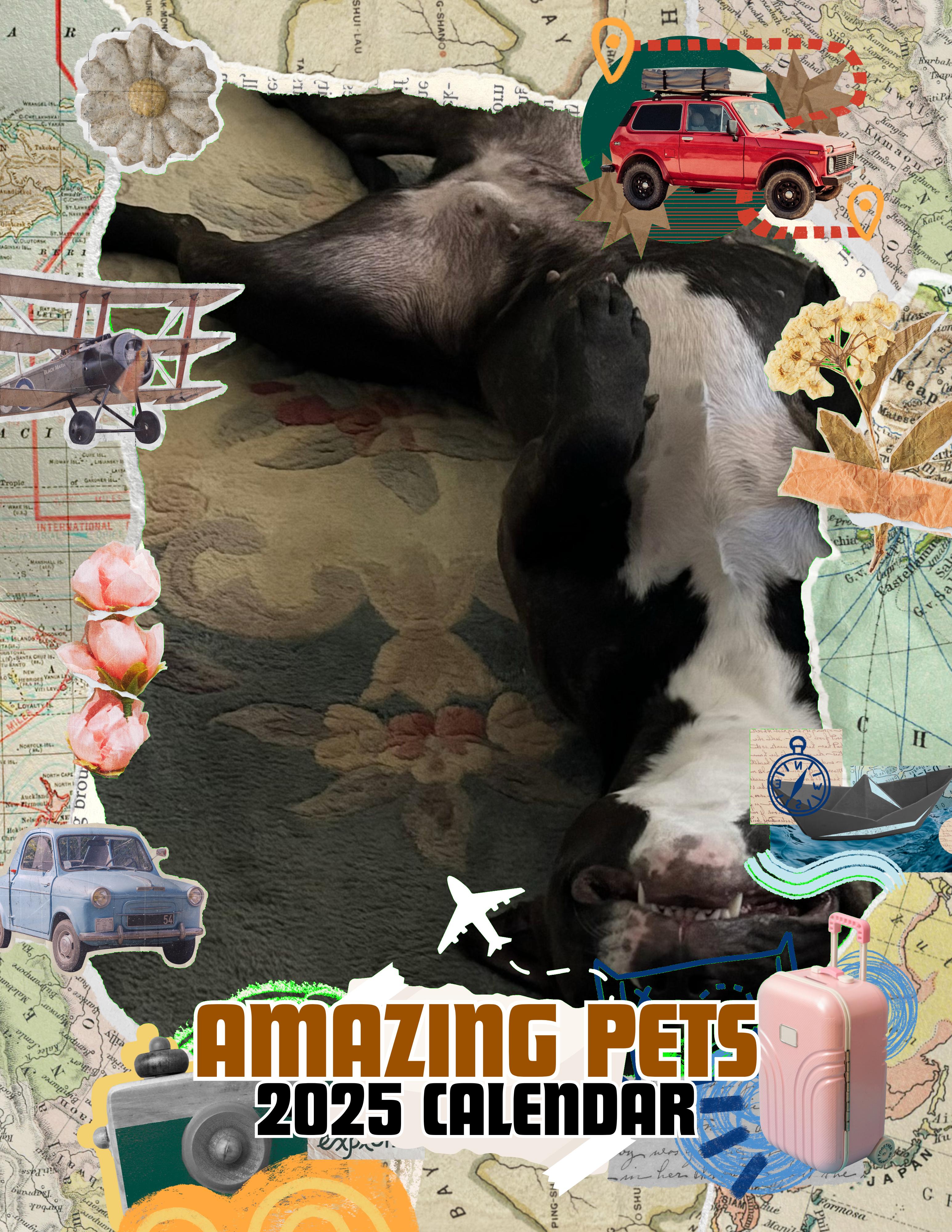 Amazing Pets: 2025 Wall Calendar (Pre-Order)