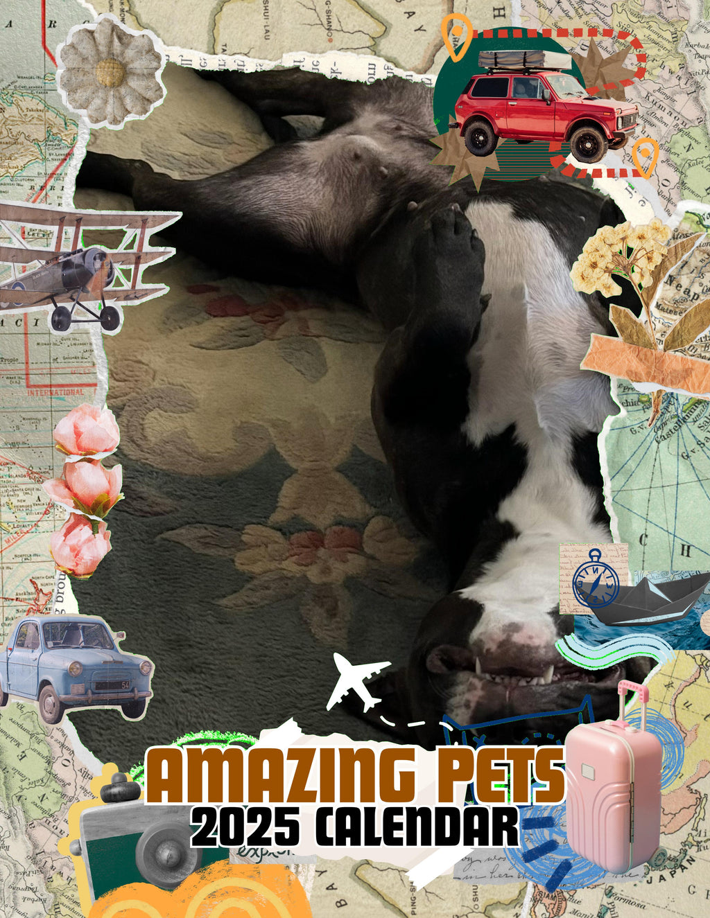 Amazing Pets: 2025 Wall Calendar (Pre-Order)