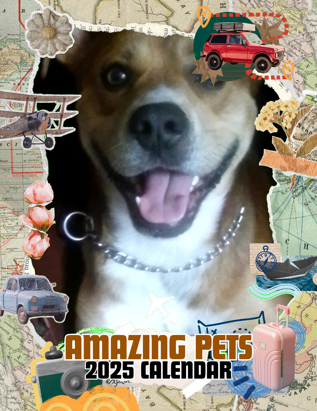 Amazing Pets: 2025 Wall Calendar (Pre-Order)
