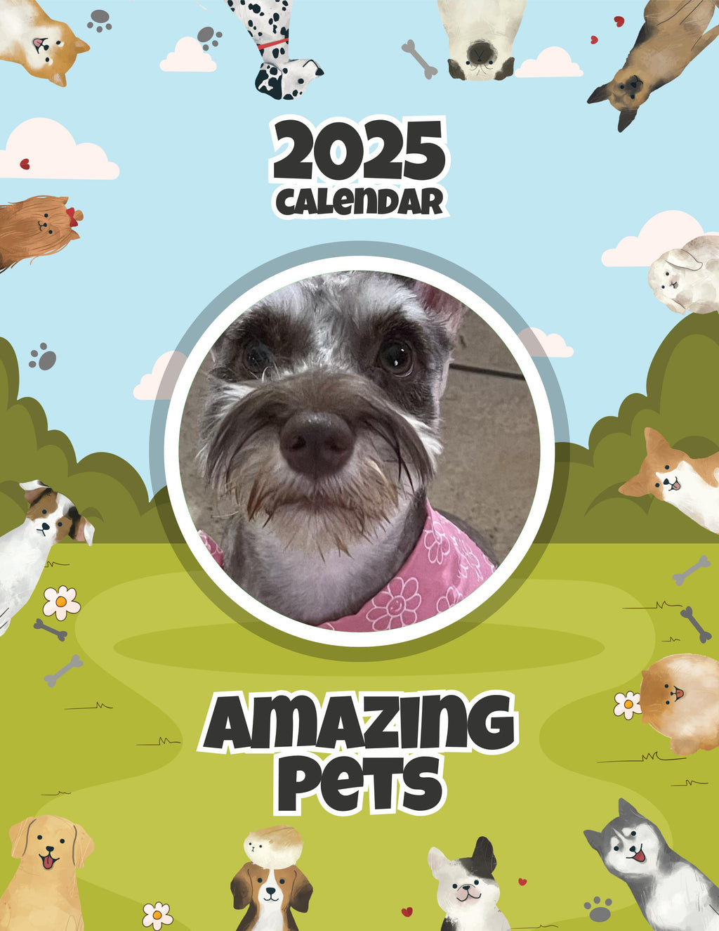 Amazing Pets: 2025 Wall Calendar (Pre-Order)