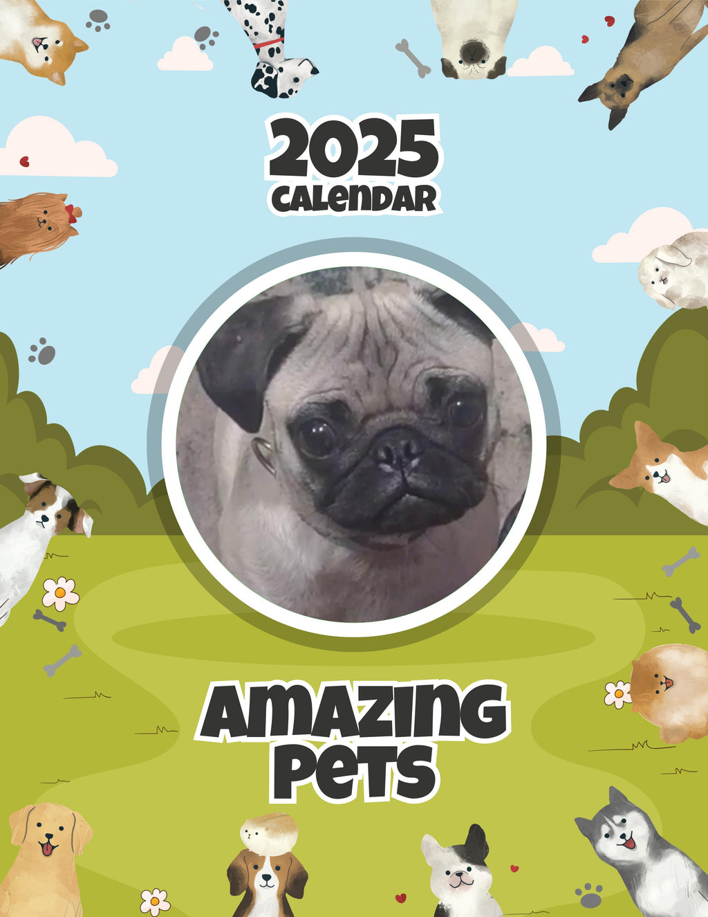 Amazing Pets: 2025 Wall Calendar (Pre-Order)