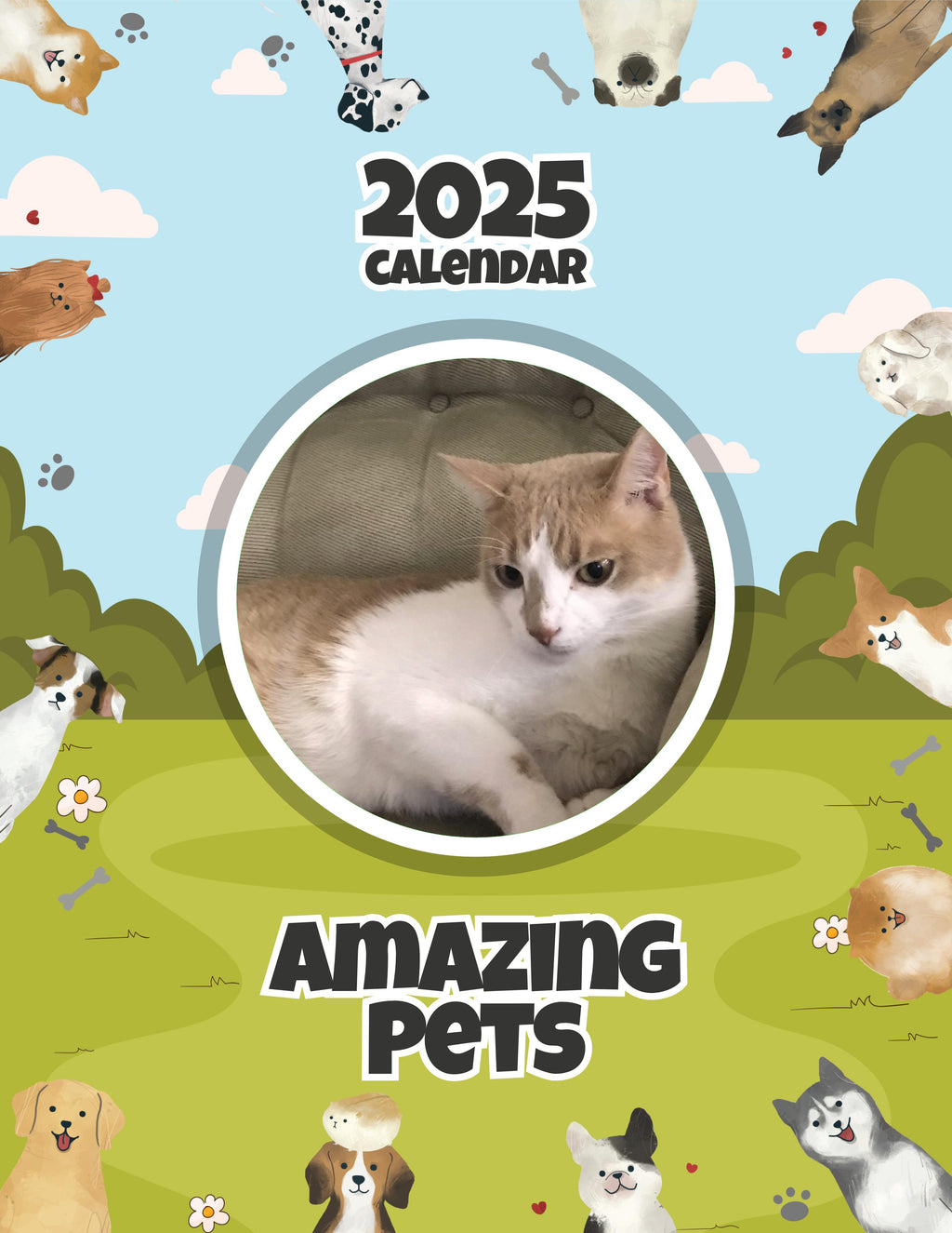 Amazing Pets: 2025 Wall Calendar (Pre-Order)