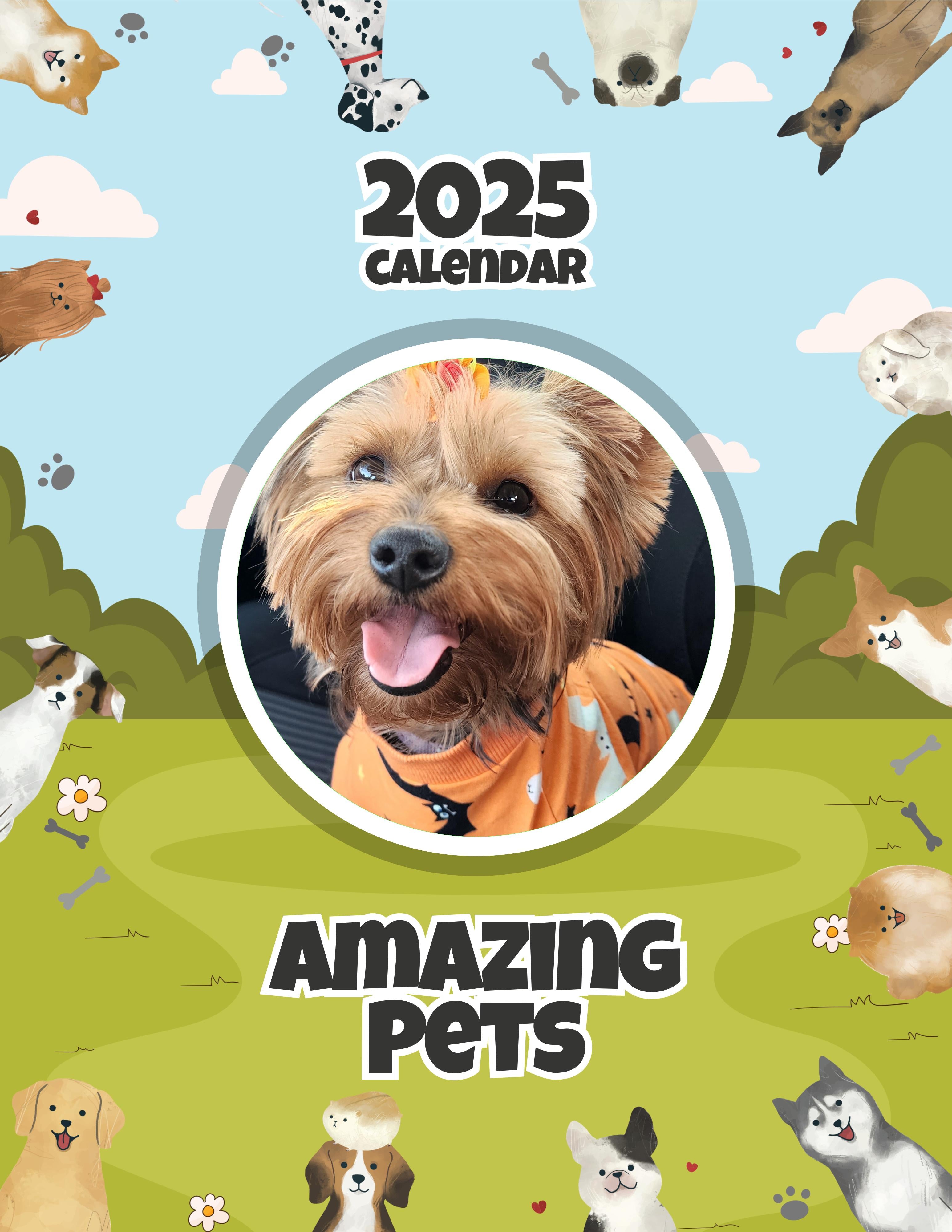 Amazing Pets: 2025 Wall Calendar (Pre-Order)