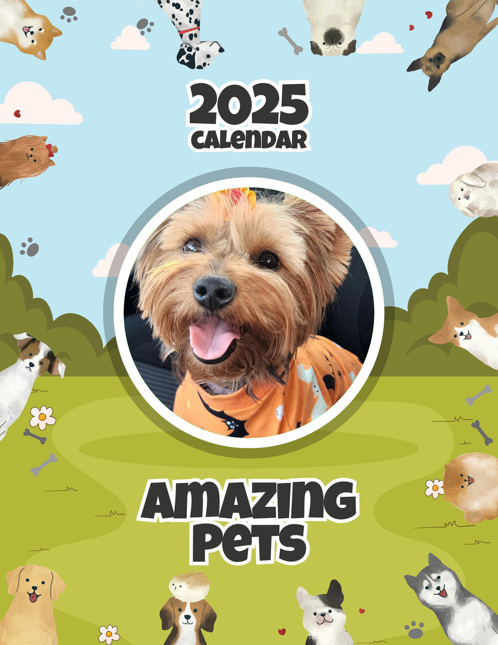 Amazing Pets: 2025 Wall Calendar (Pre-Order)