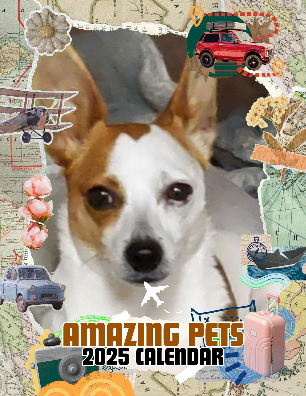 Amazing Pets: 2025 Wall Calendar (Pre-Order)